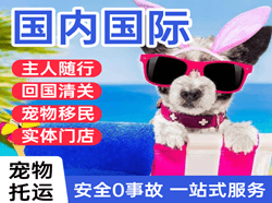 硕放机场空运国际宠物托运 【国